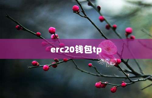 erc20钱包tp