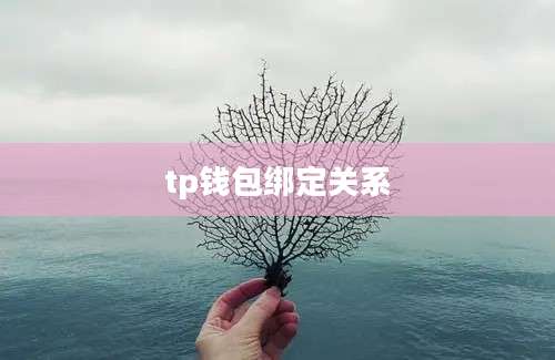 tp钱包绑定关系