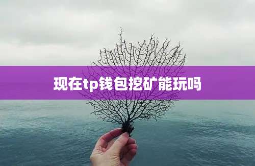 现在tp钱包挖矿能玩吗