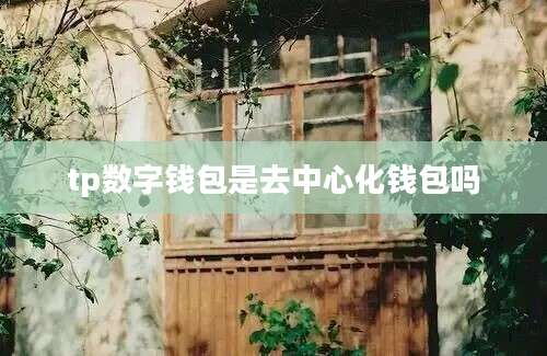 tp数字钱包是去中心化钱包吗