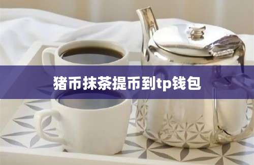 猪币抹茶提币到tp钱包