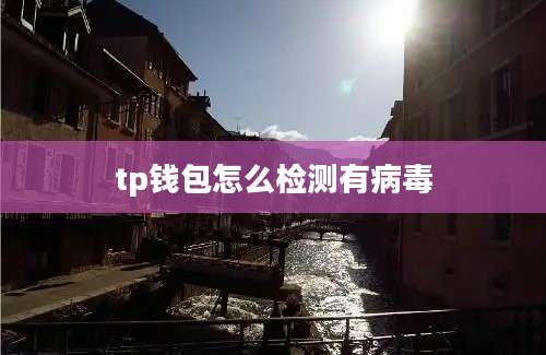 tp钱包怎么检测有病毒