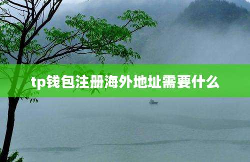 tp钱包注册海外地址需要什么