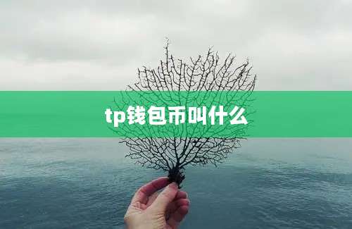 tp钱包币叫什么
