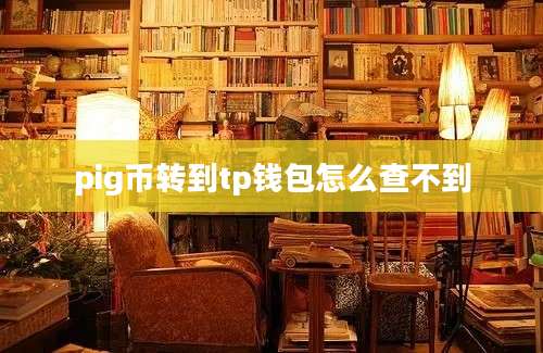 pig币转到tp钱包怎么查不到