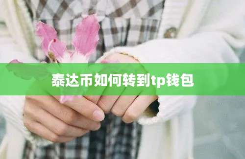 泰达币如何转到tp钱包