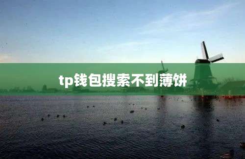 tp钱包搜索不到薄饼