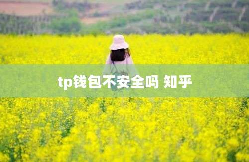 tp钱包不安全吗 知乎