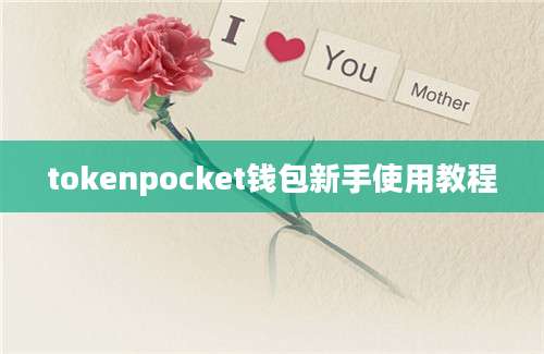 tokenpocket钱包新手使用教程