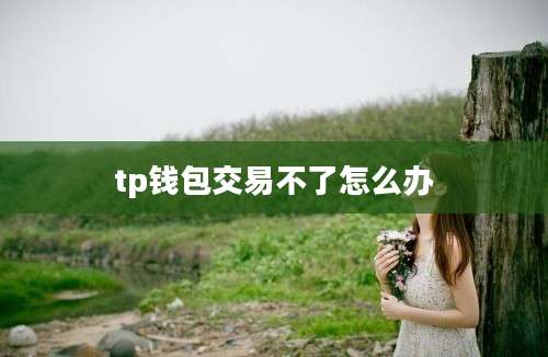 tp钱包交易不了怎么办