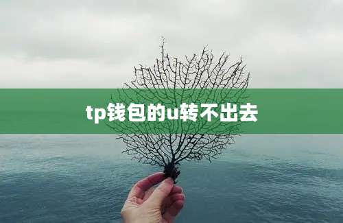 tp钱包的u转不出去