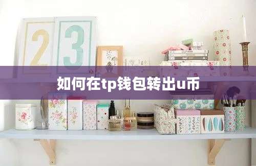 如何在tp钱包转出u币