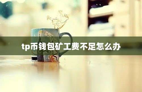 tp币钱包矿工费不足怎么办