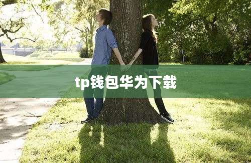tp钱包华为下载