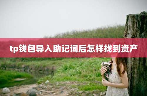 tp钱包导入助记词后怎样找到资产