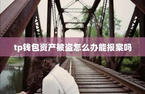 tp钱包资产被盗怎么办能报案吗