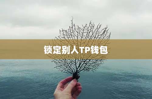 锁定别人TP钱包