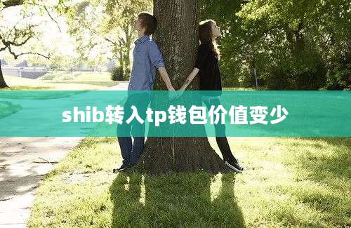 shib转入tp钱包价值变少