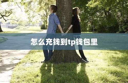 怎么充钱到tp钱包里