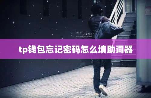 tp钱包忘记密码怎么填助词器