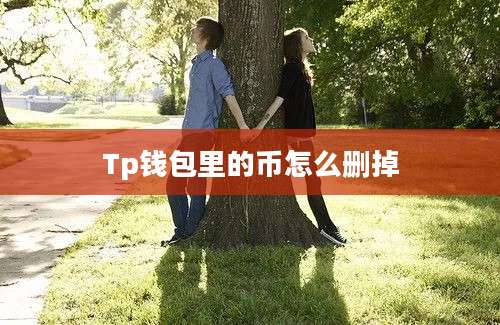 Tp钱包里的币怎么删掉