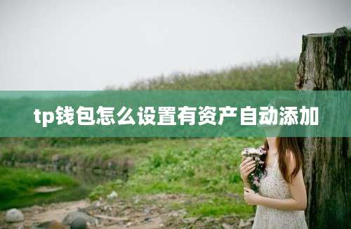 tp钱包怎么设置有资产自动添加