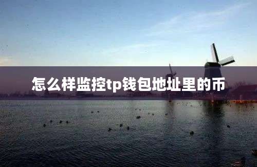 怎么样监控tp钱包地址里的币