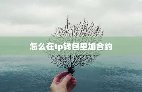 怎么在tp钱包里加合约