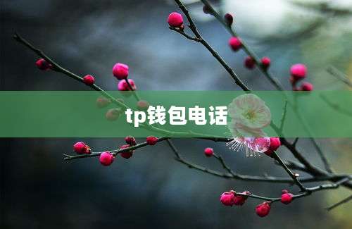 tp钱包电话