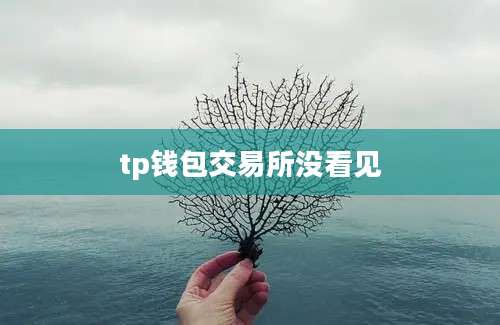 tp钱包交易所没看见