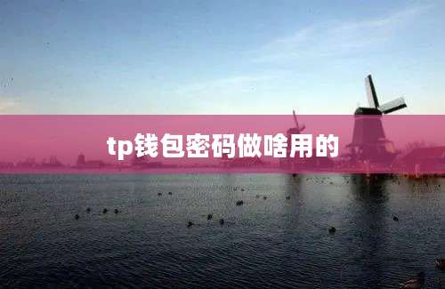 tp钱包密码做啥用的