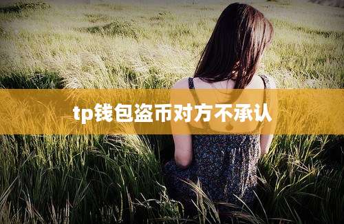 tp钱包盗币对方不承认