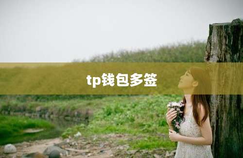tp钱包多签