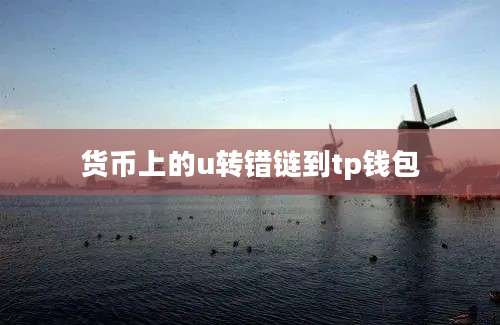 货币上的u转错链到tp钱包