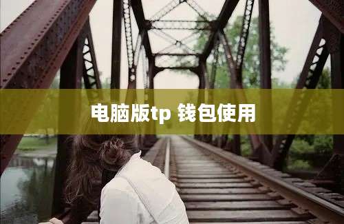 电脑版tp 钱包使用