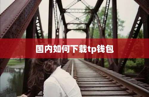 国内如何下载tp钱包