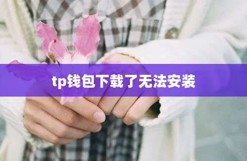 tp钱包下载了无法安装