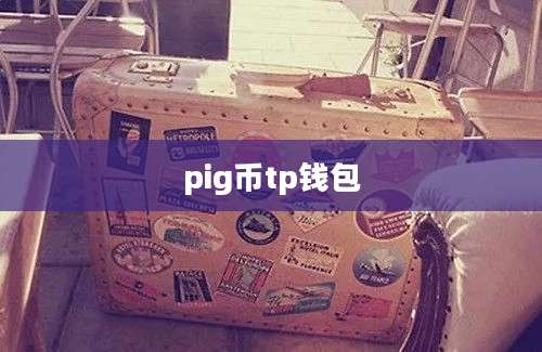 pig币tp钱包