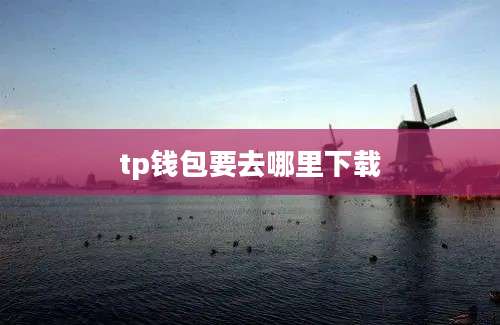 tp钱包要去哪里下载
