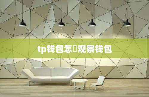tp钱包怎嚒观察钱包