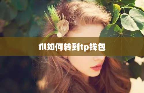fil如何转到tp钱包