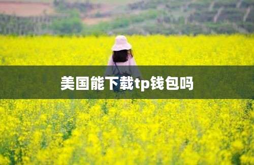 美国能下载tp钱包吗