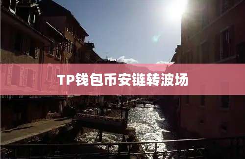 TP钱包币安链转波场