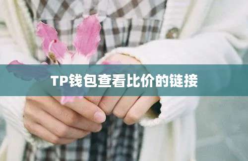 TP钱包查看比价的链接