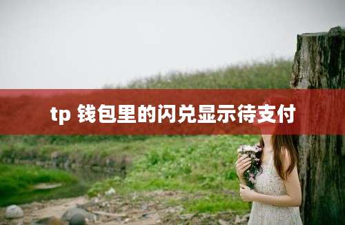 tp 钱包里的闪兑显示待支付