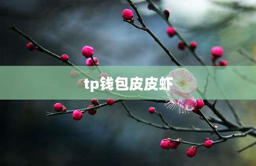 tp钱包皮皮虾