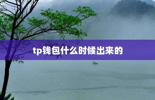 tp钱包什么时候出来的