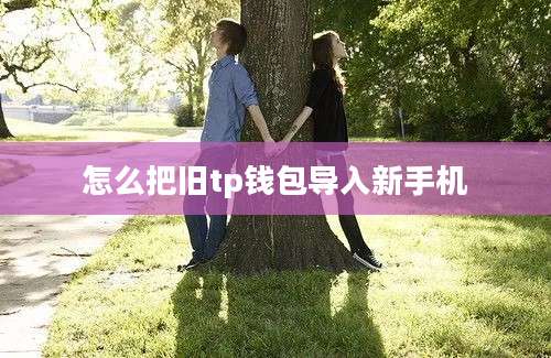 怎么把旧tp钱包导入新手机
