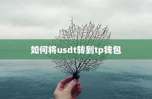 如何将usdt转到tp钱包