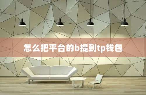 怎么把平台的b提到tp钱包